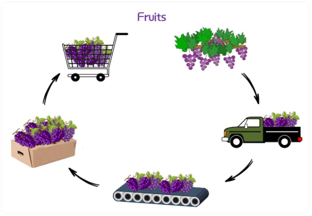 Fruit Supply Chain