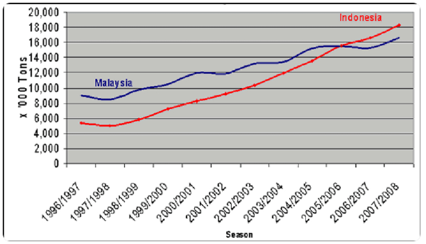 Palm Oil Production