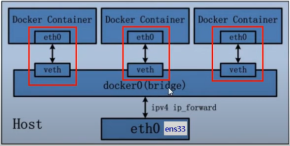 Docker Bridge