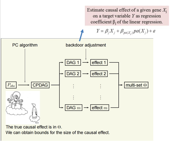 Causal inference